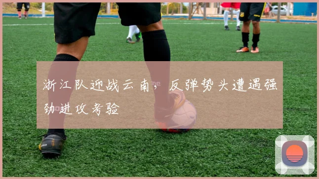 浙江队迎战云南,反弹势头遭遇强劲进攻考验